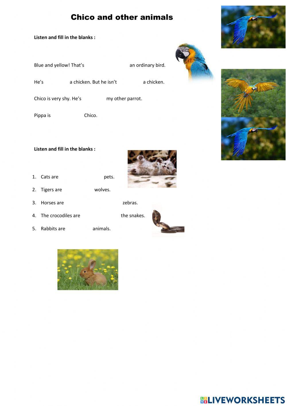 Chico and other animals