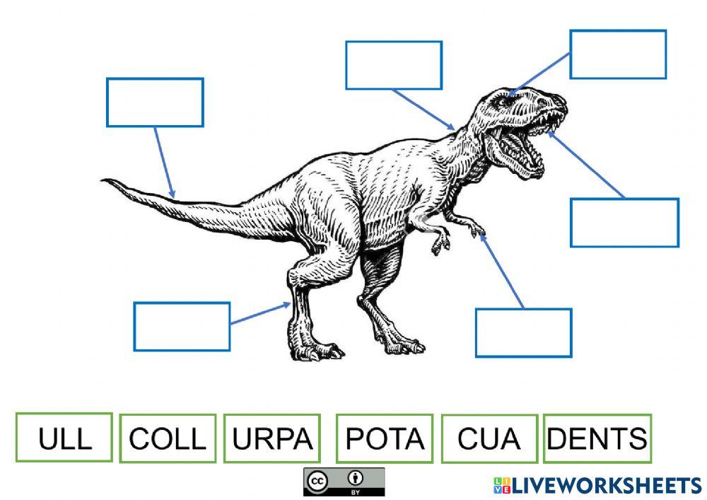 Parts dels dinosaures