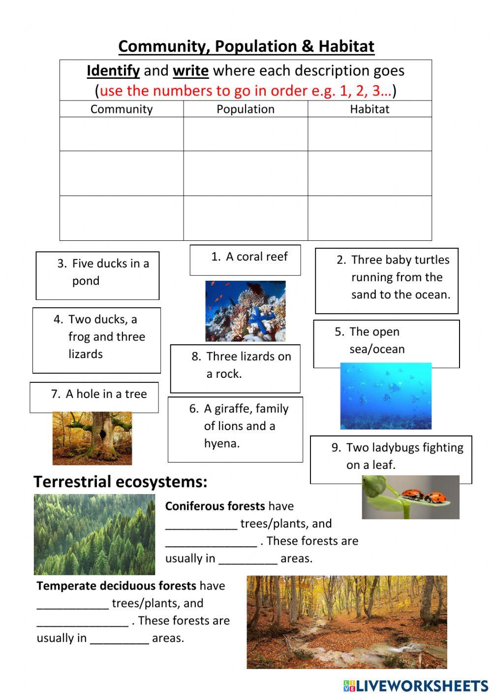 Ecosystems study