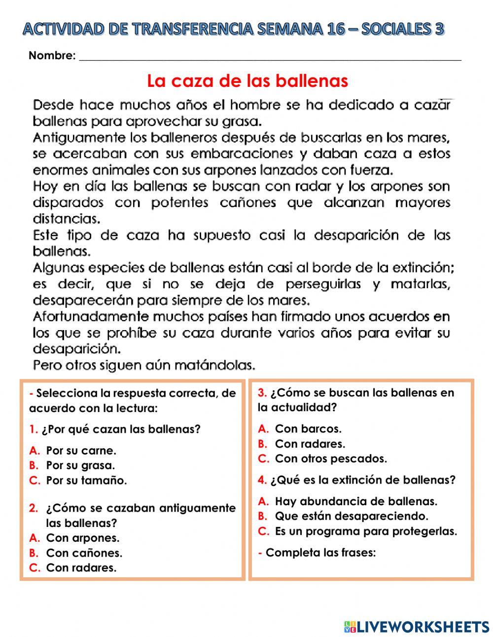 Transferencia semana 16 3