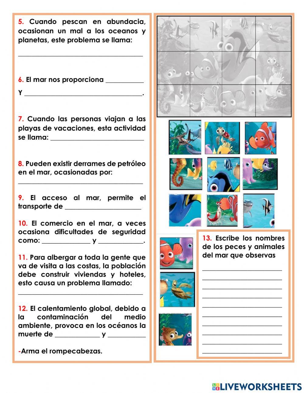 Transferencia semana 16 3