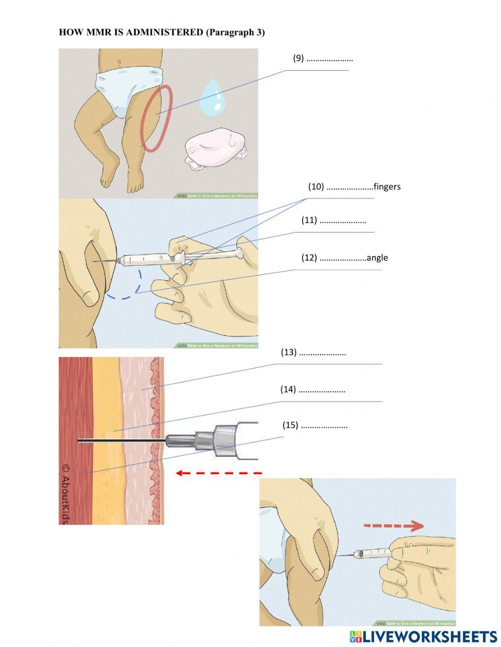 TRS6 - Biology (1) - MMR