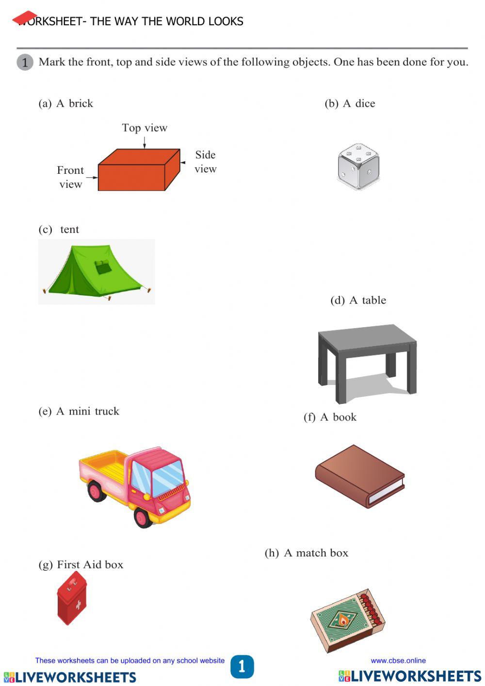 The way the world looks