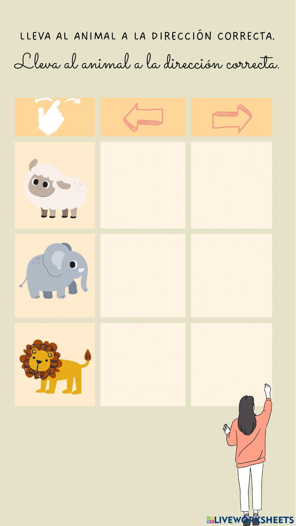 Actividades de orientación