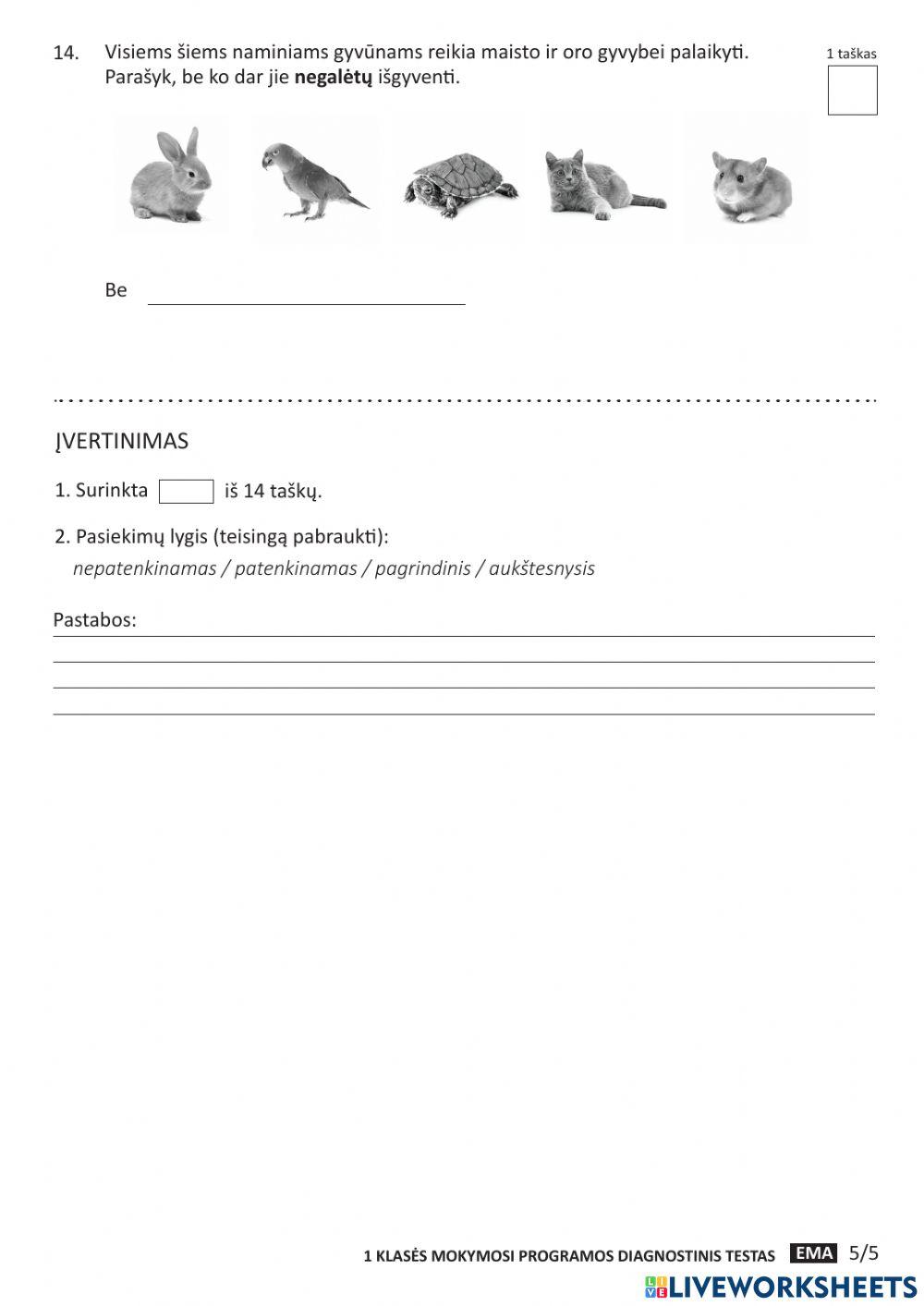 Diagnostinis  pasaulio pažinimo 1 klase