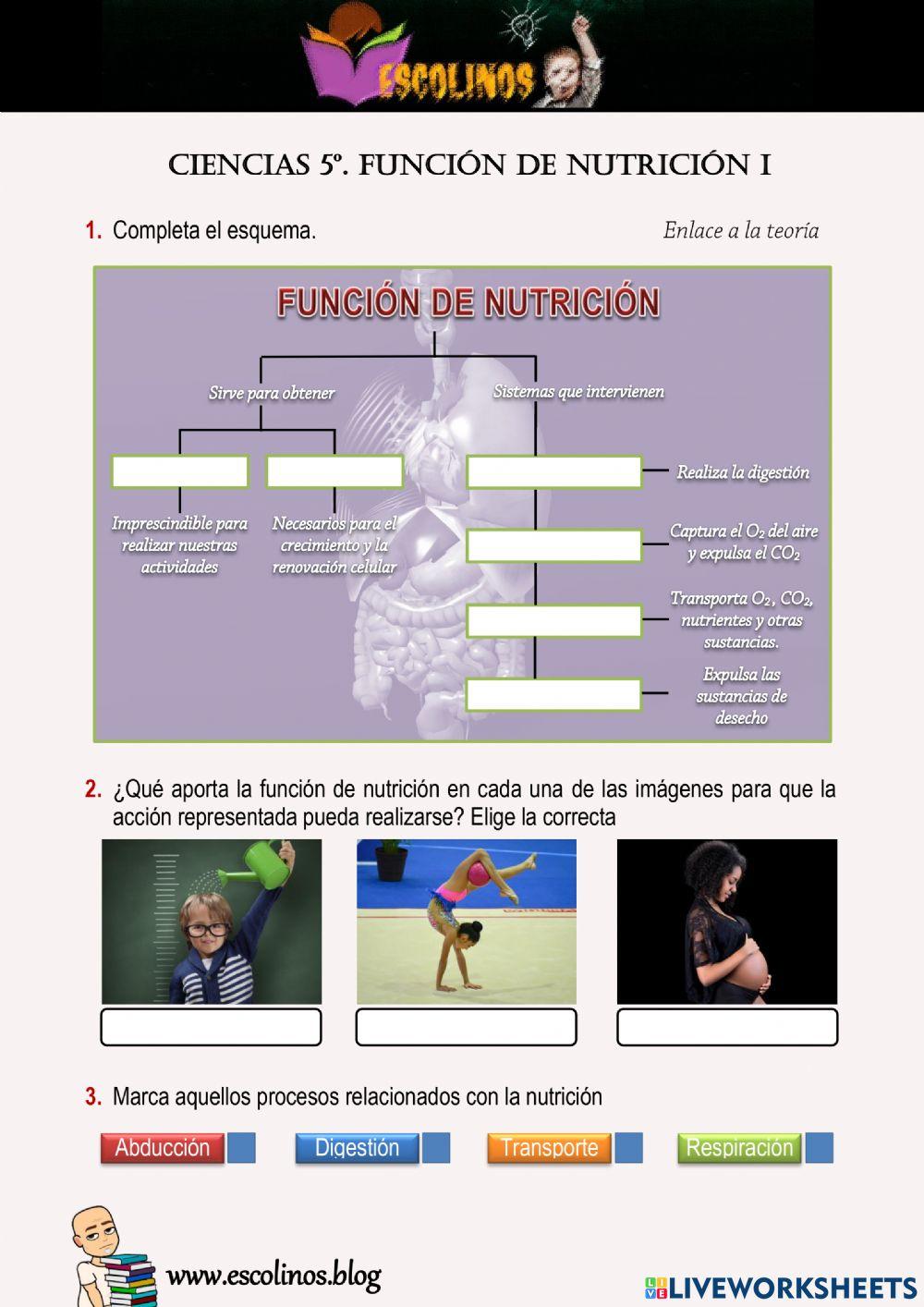 Ciencias 5º. Función de Nutrición I