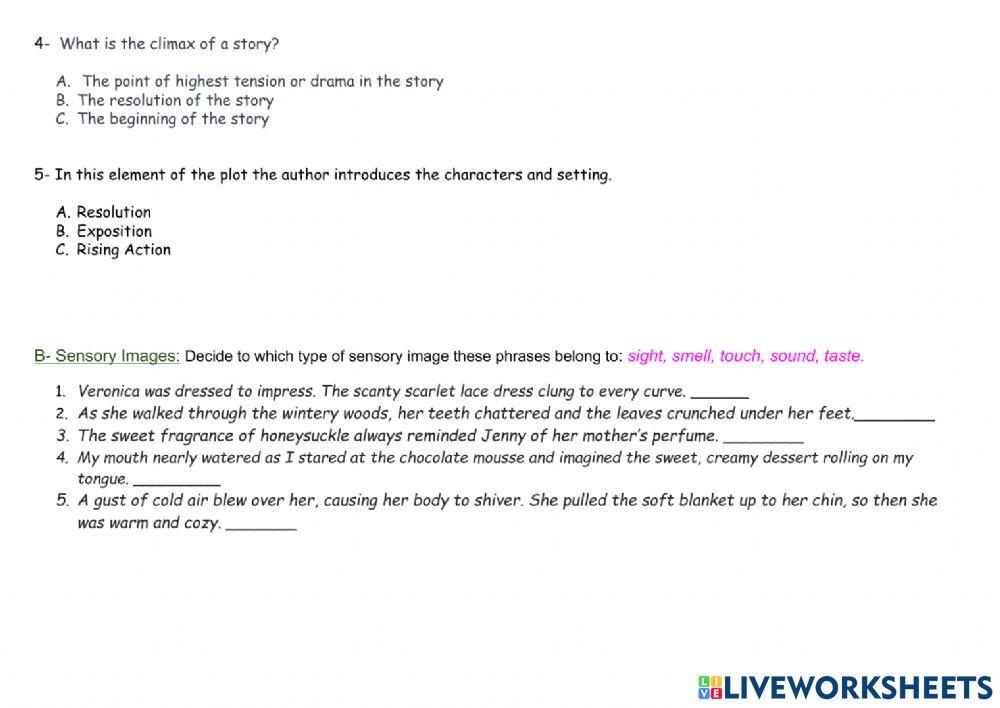 Literature Written Test