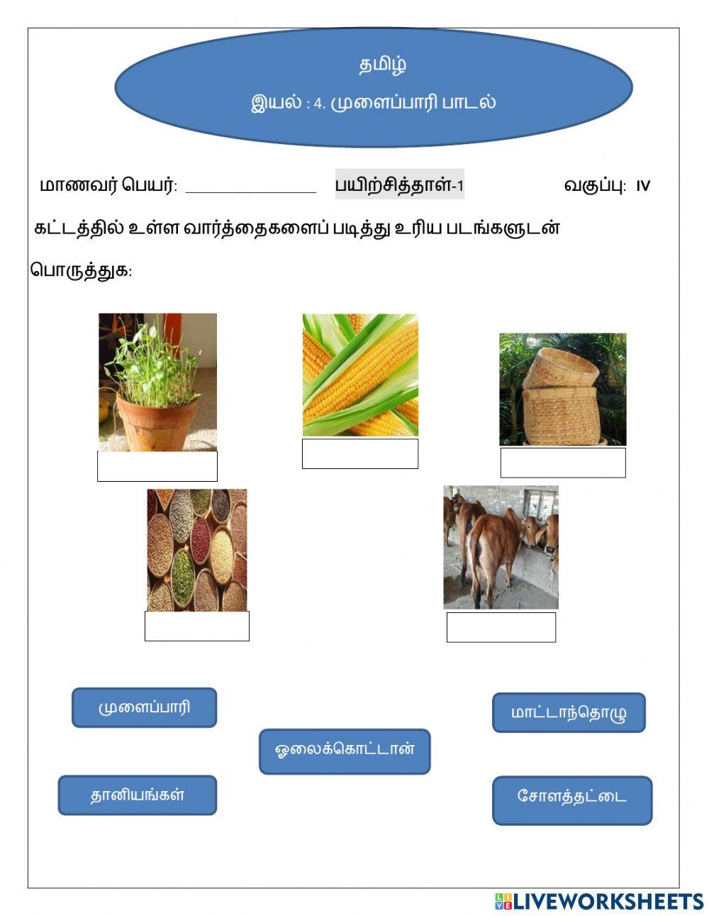 முளைப்பாரி பாடல்