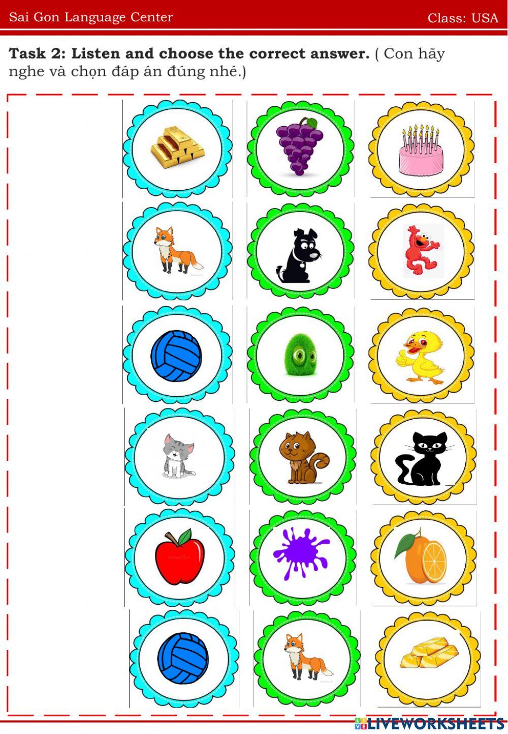 Usa colors - a2 19.05