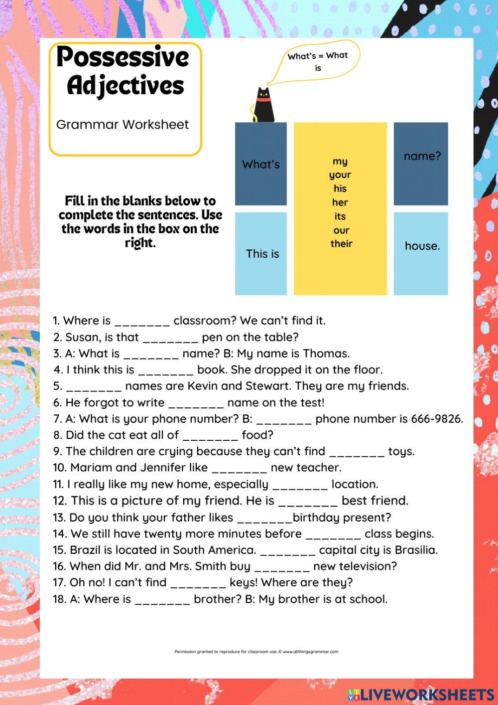 POSSESSIVE ADJECTIVES - PRACTICE