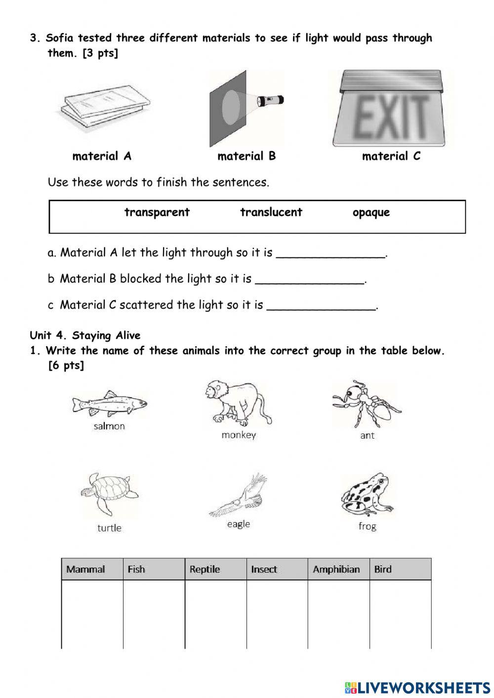 End-of-Year Test - Revision