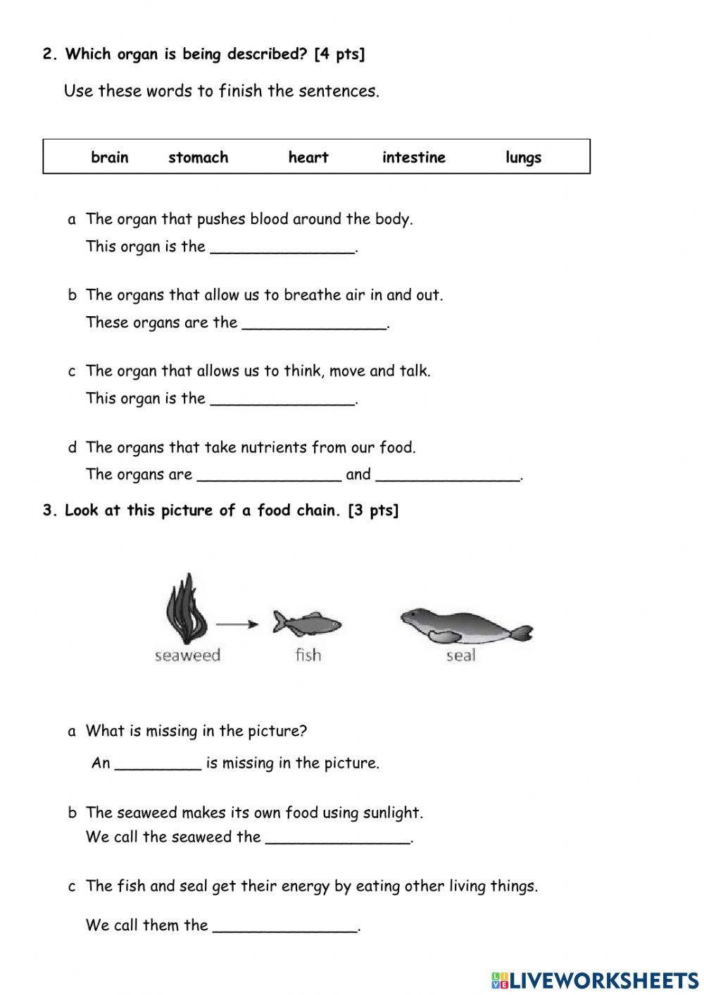 End-of-Year Test - Revision