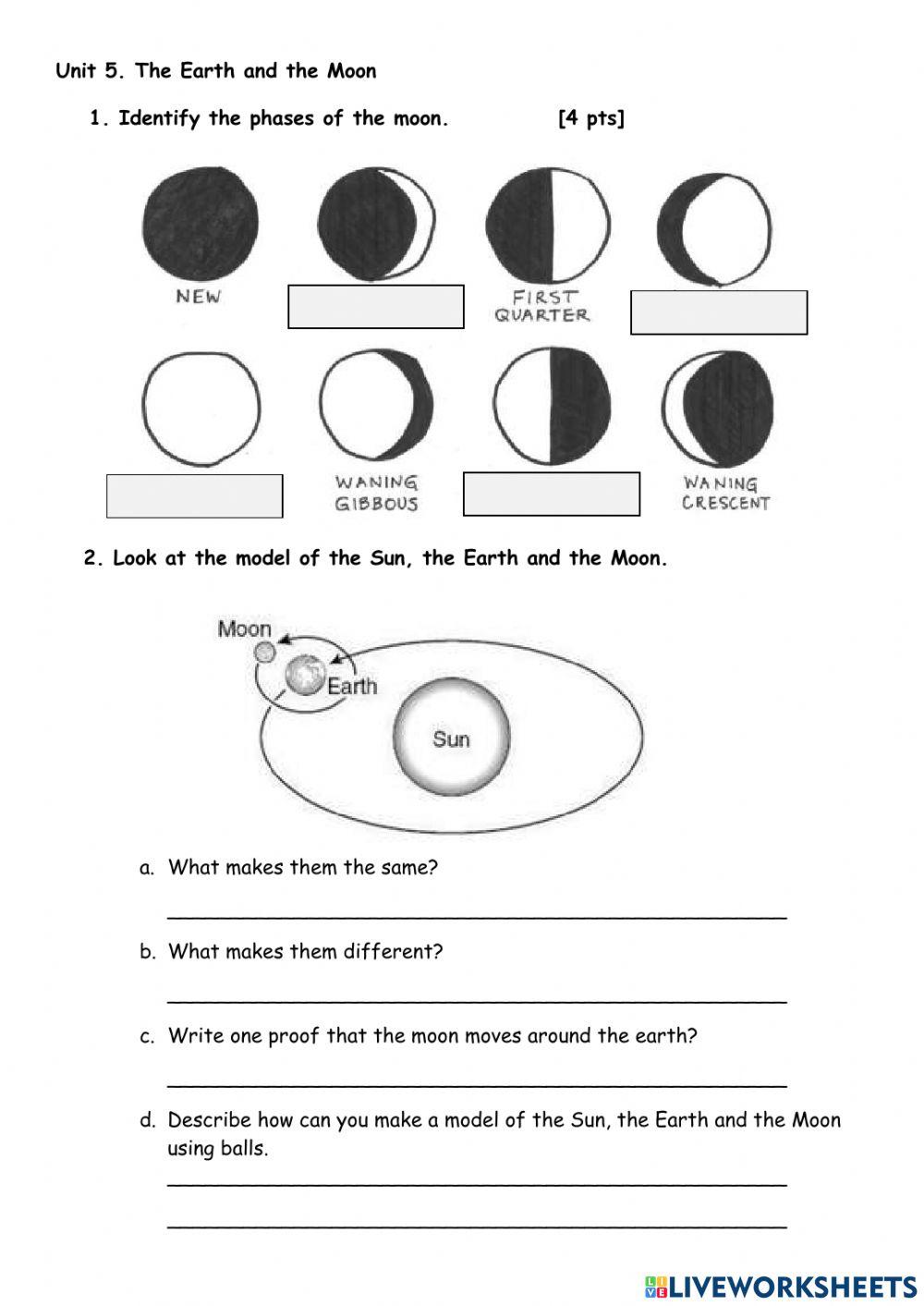 End-of-Year Test - Revision