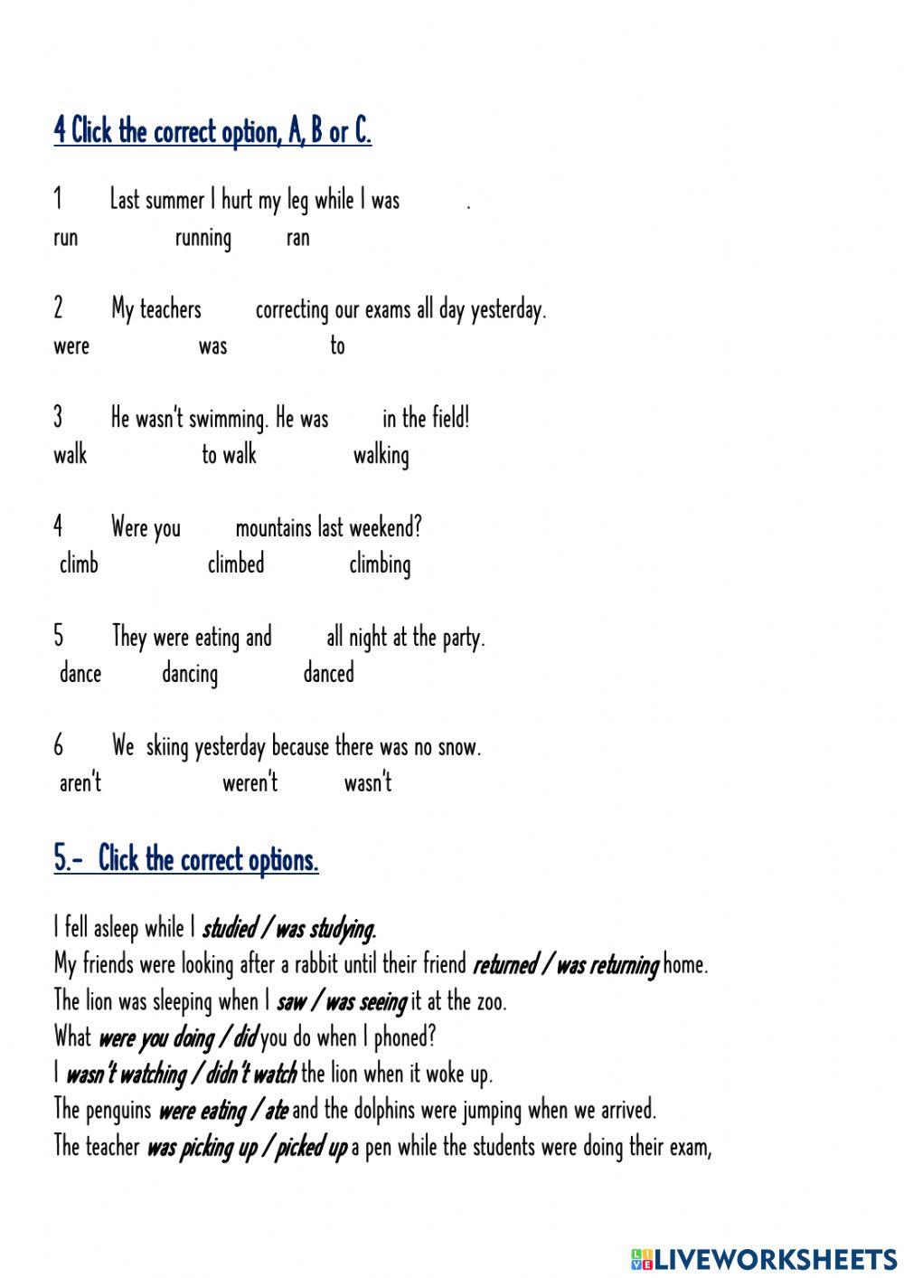 Past simple past continuous