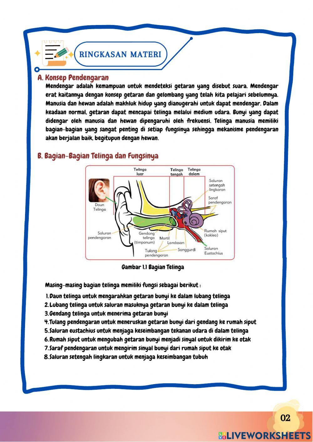 E-LKPD Mekanisme Pendengaran Manusia