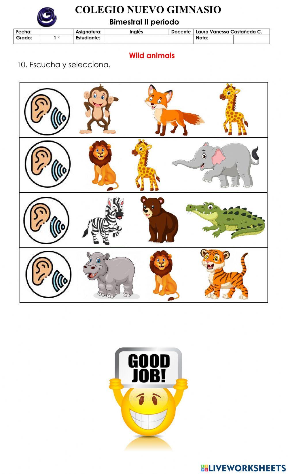 Bimestral inglés second grande