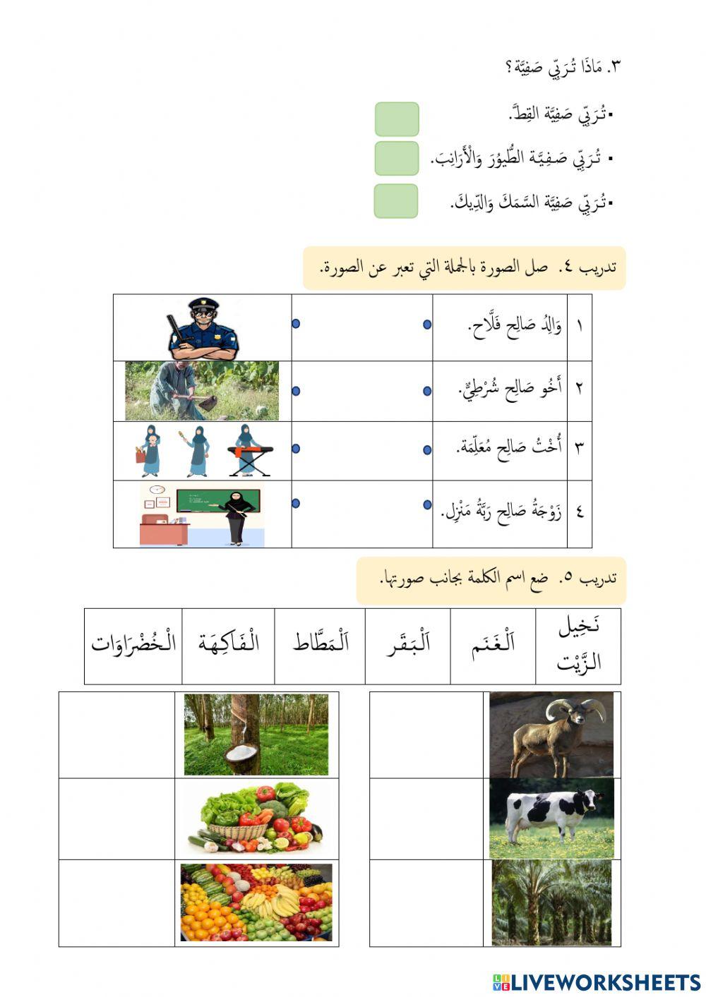 موضوع ٤ في القرية