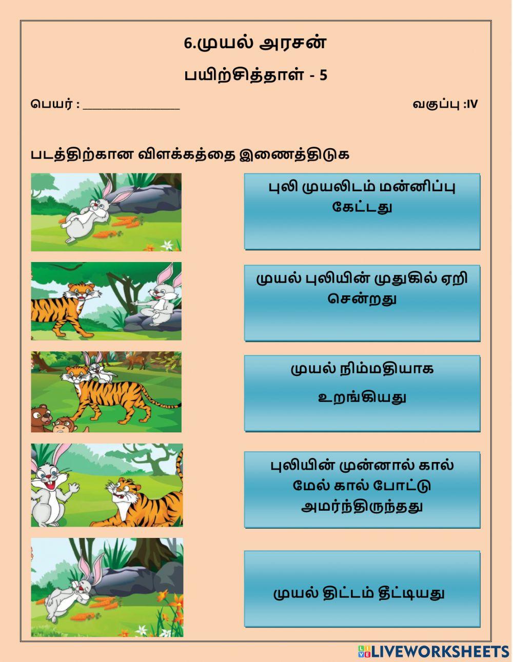 6. முயல் அரசன்
