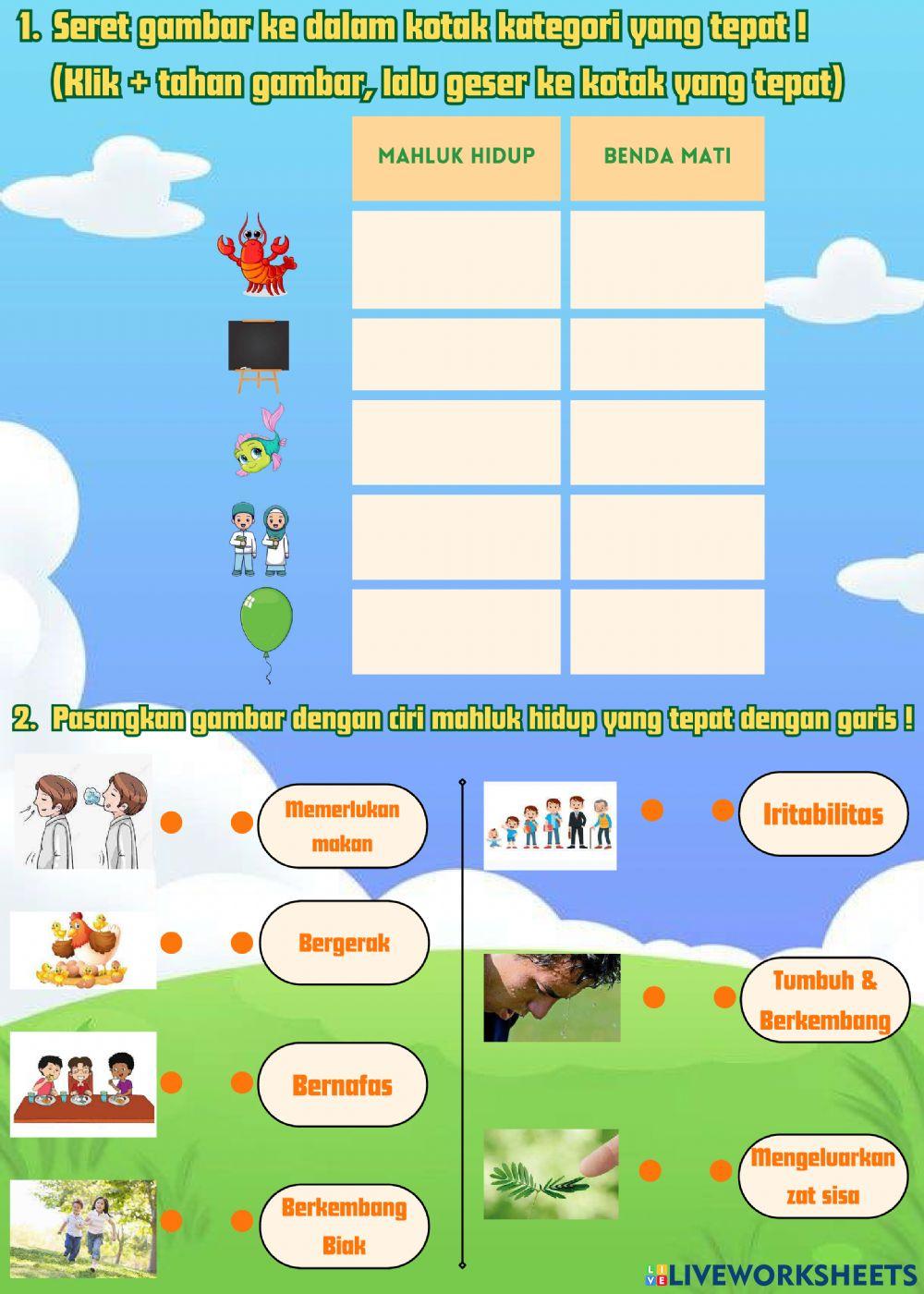 Latihan Soal Klasifikasi Mahluk hidup