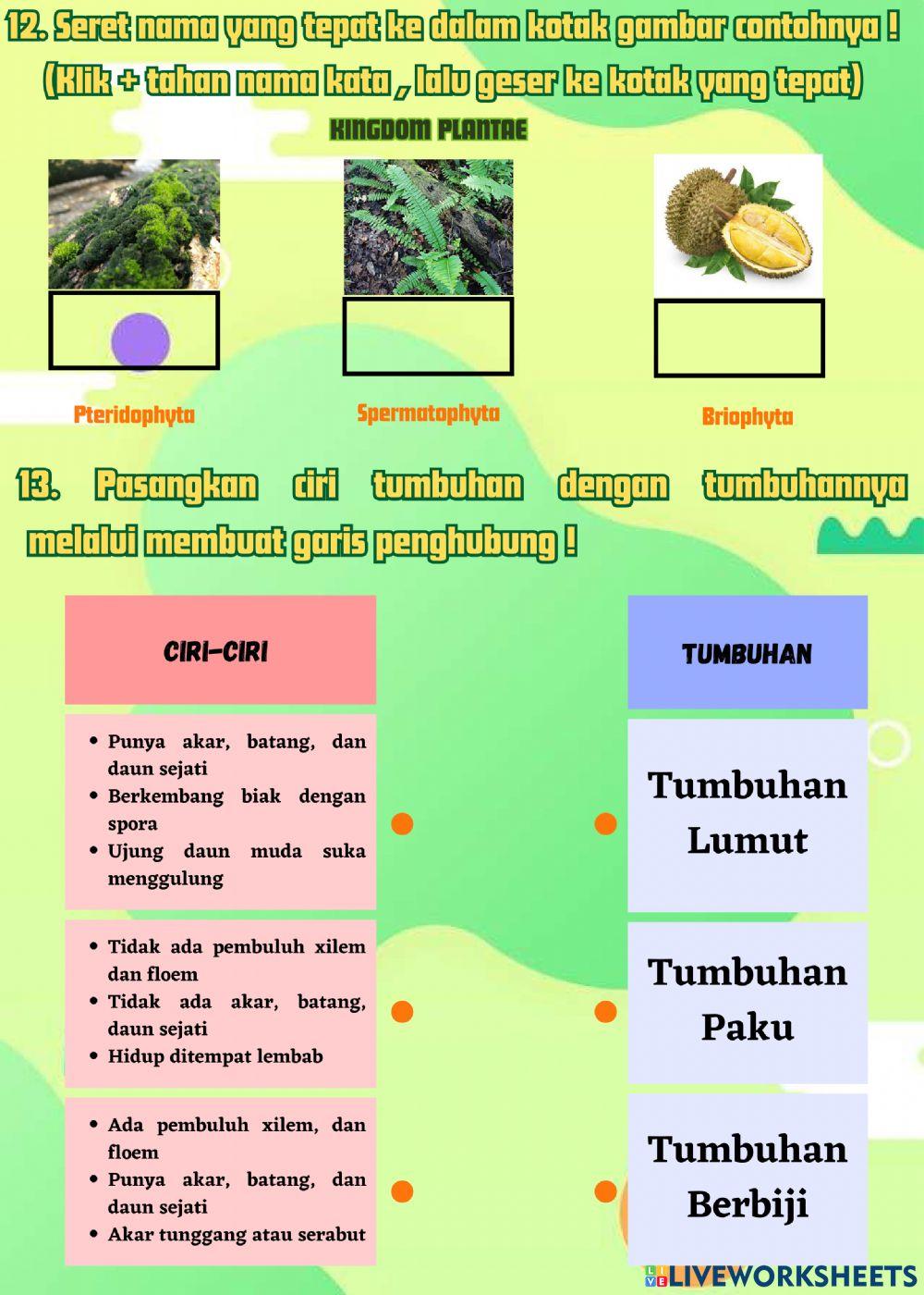 Latihan Soal Klasifikasi Mahluk hidup