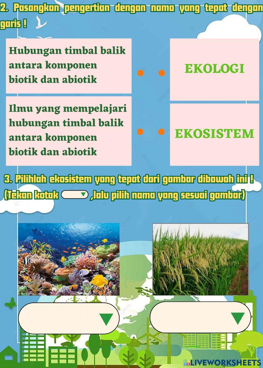 Latihan soal Ekosistem dan Keanekaragaman Hayati