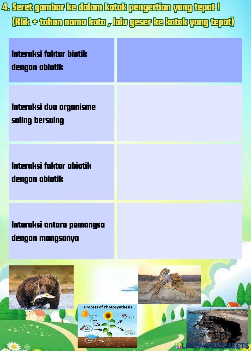 Latihan soal Ekosistem dan Keanekaragaman Hayati