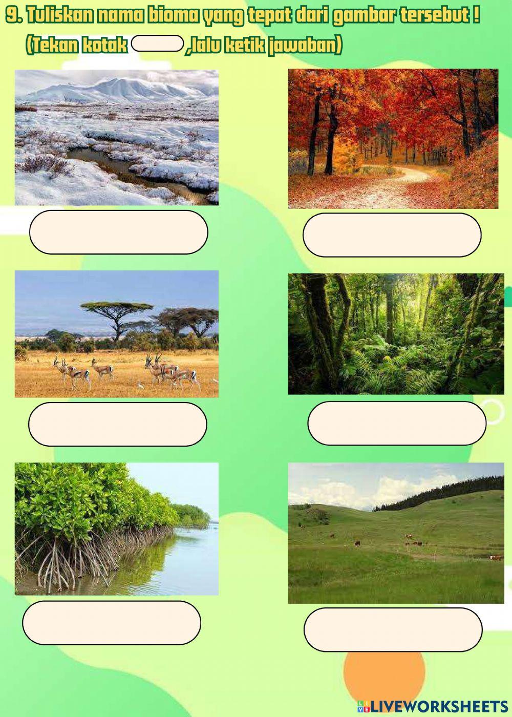 Latihan soal Ekosistem dan Keanekaragaman Hayati