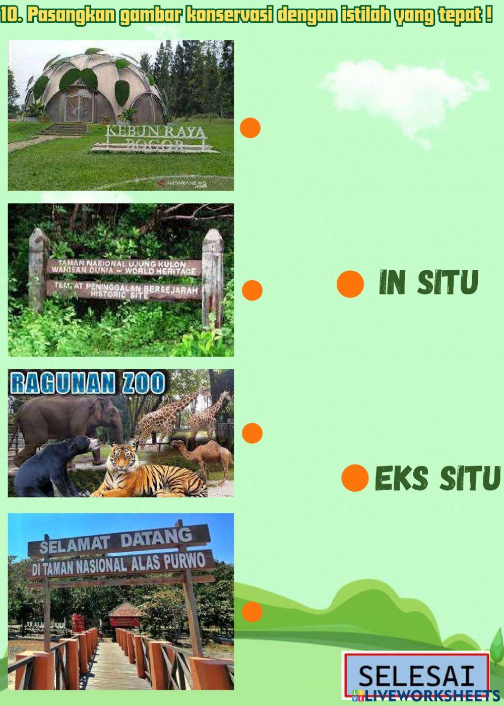 Latihan soal Ekosistem dan Keanekaragaman Hayati