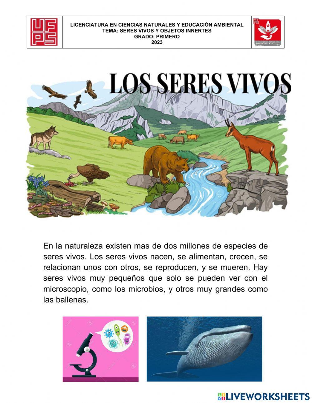 Biología grado 1°, seres vivos e innertes