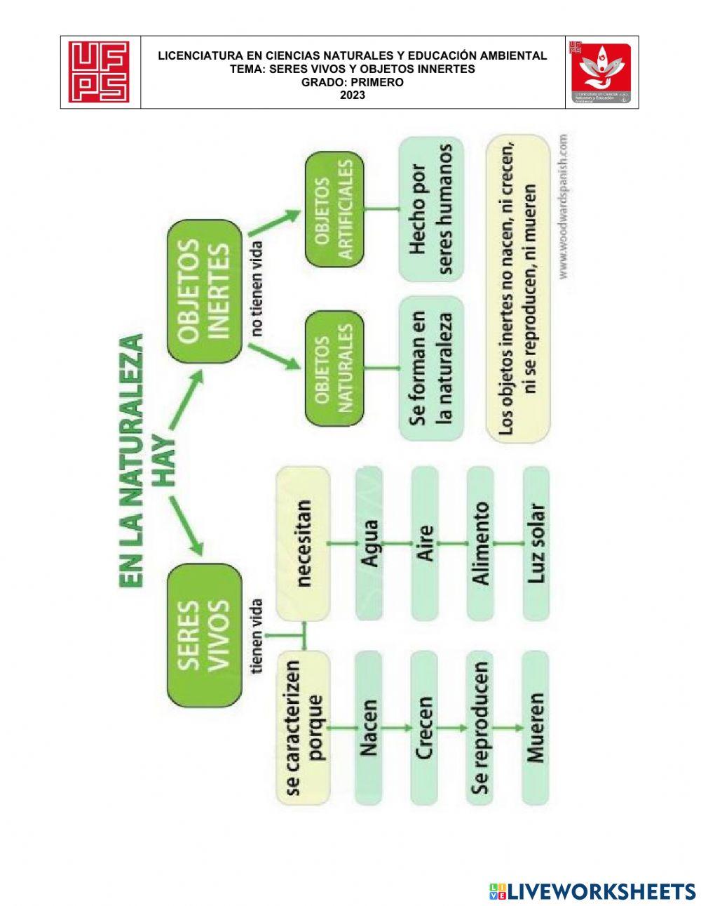 Biología grado 1°, seres vivos e innertes