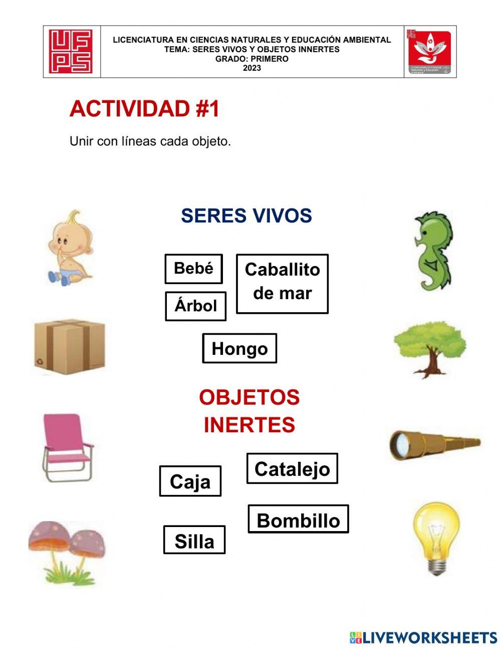 Biología grado 1°, seres vivos e innertes