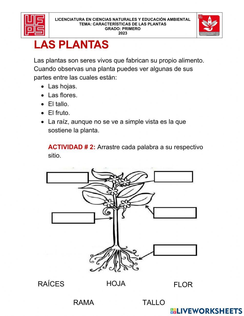 Biología grado 1°, seres vivos e innertes