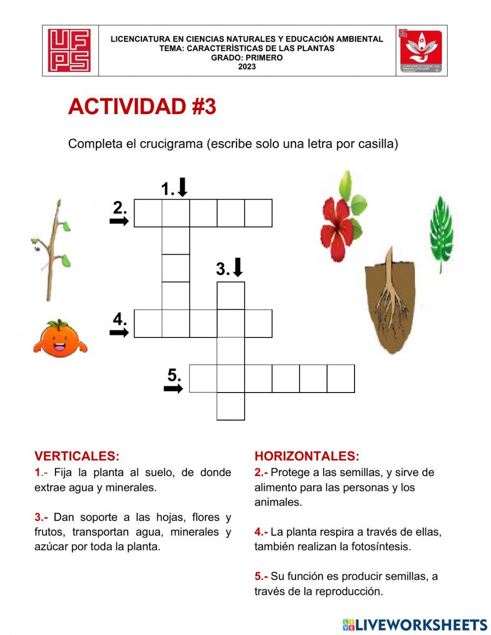 Biología grado 1°, seres vivos e innertes