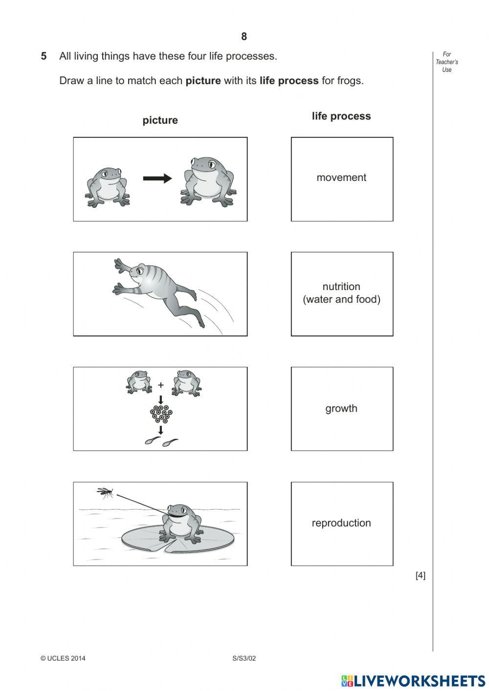 Yr 3 Progression test 2014 paper 2 part 1
