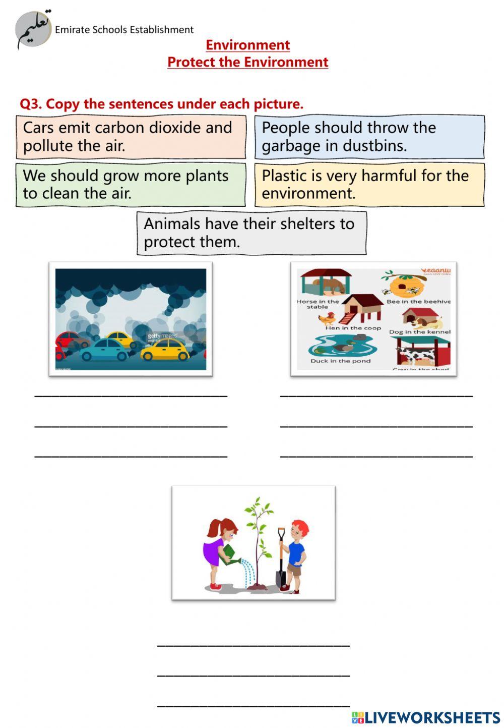 Environment Support Lesson