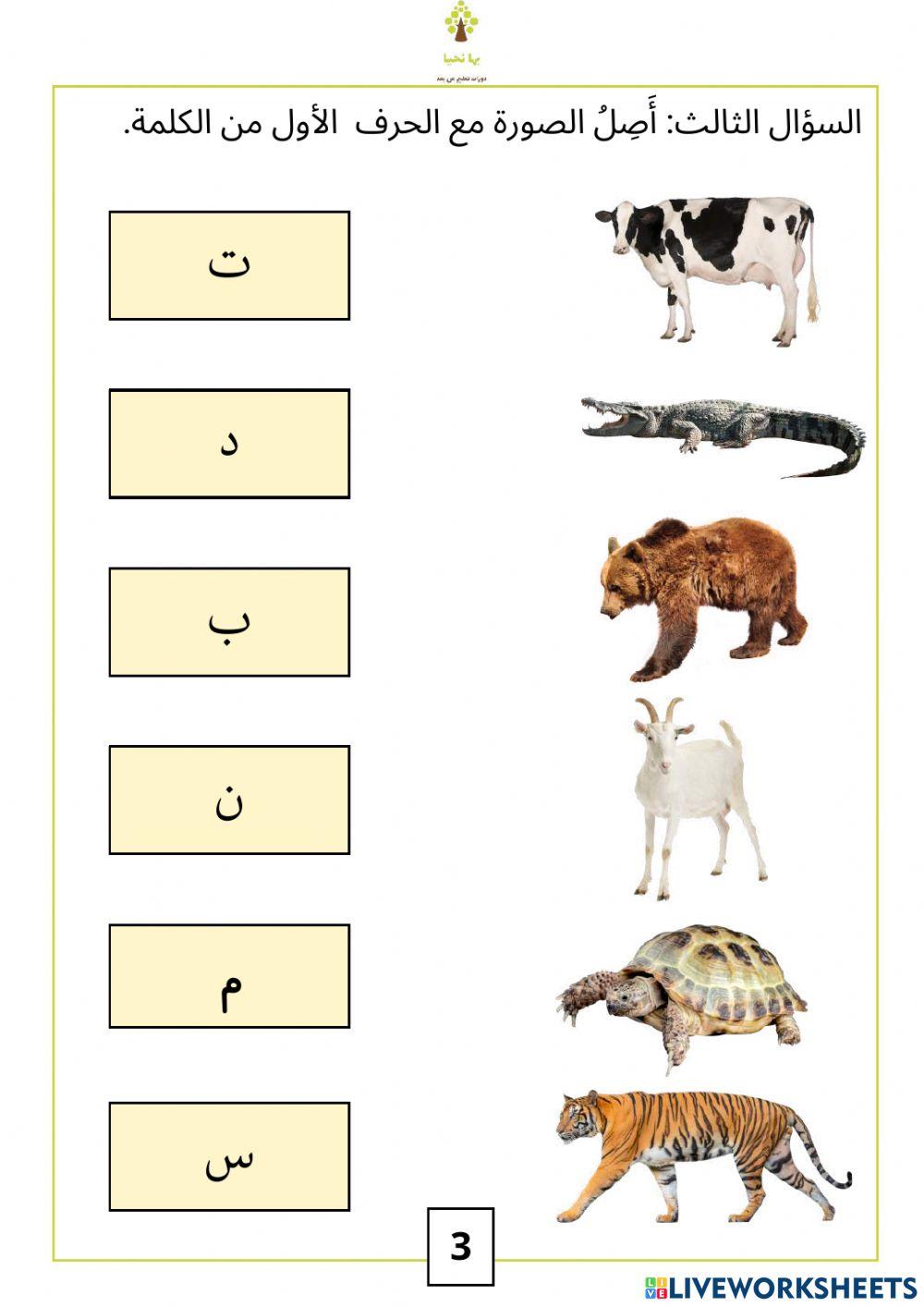 مراجعة الأحرف