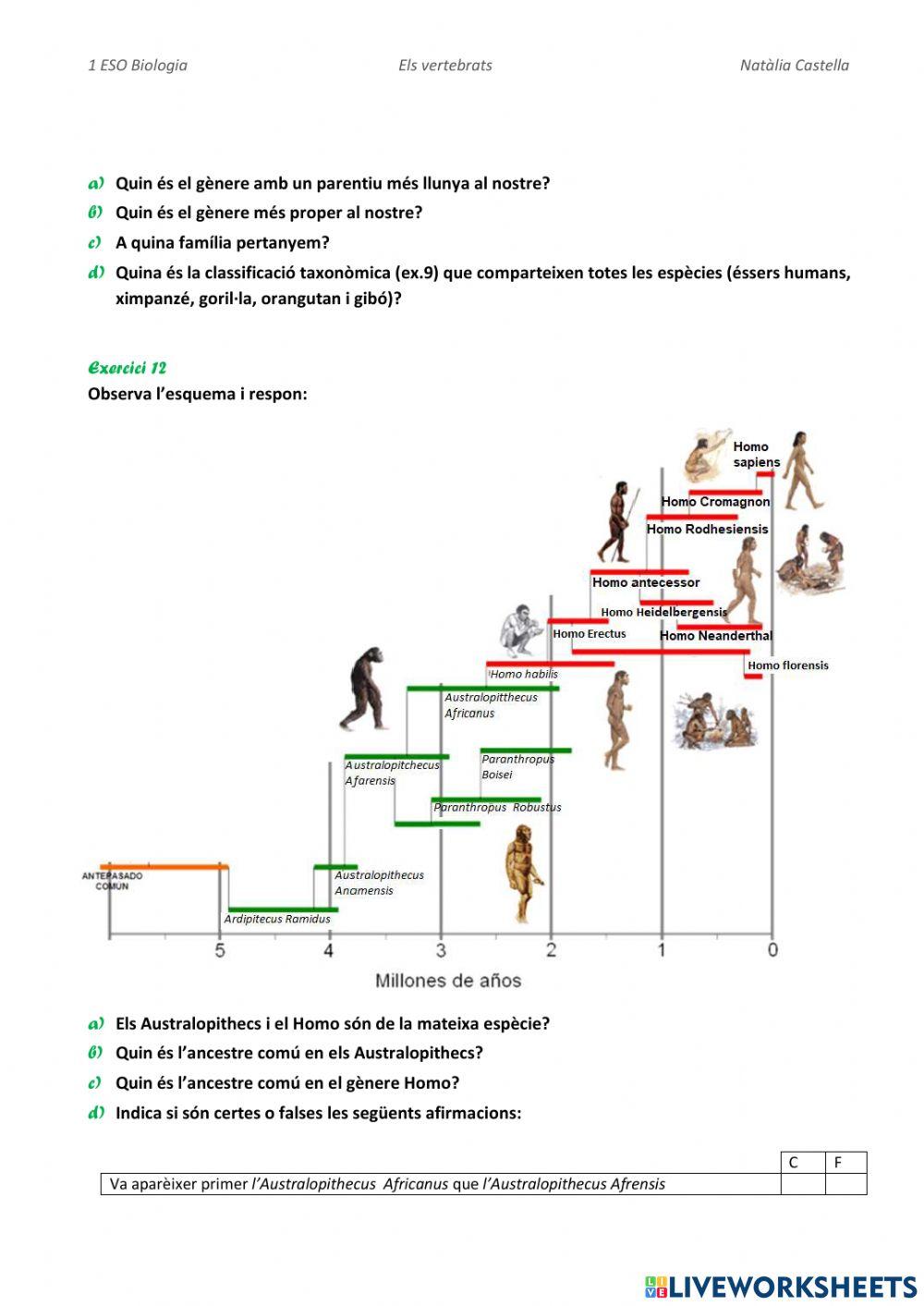L'ésser humà Homo sapiens