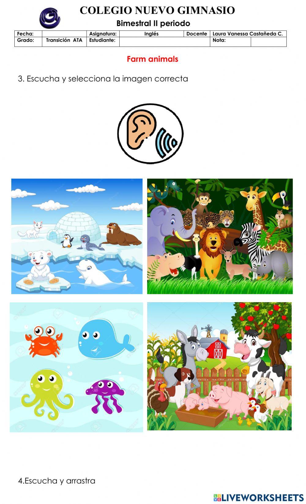 Bimestral ii periodo ata o°