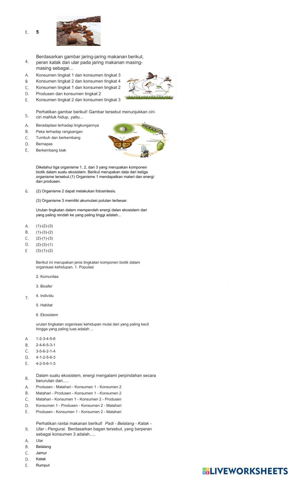 Remedial Semester-1 PIPAS