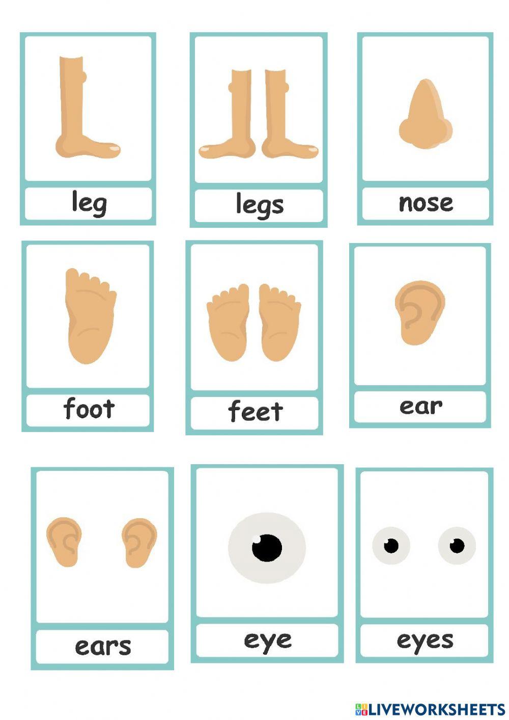 The body and face - lesson
