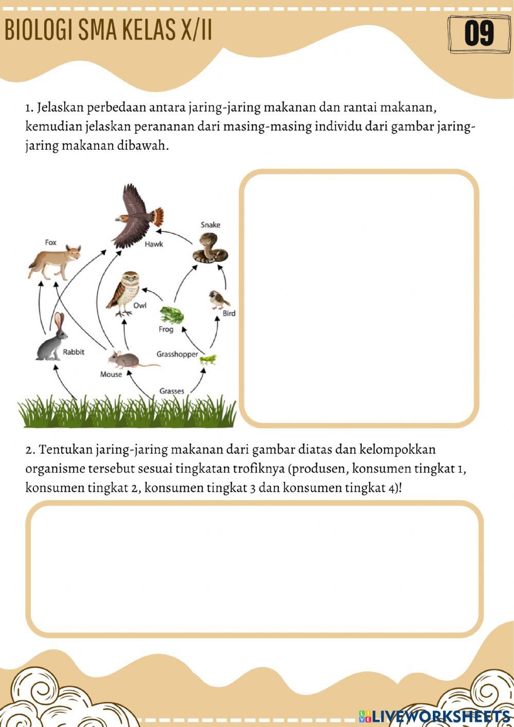 Ekosistem Ekosistem
