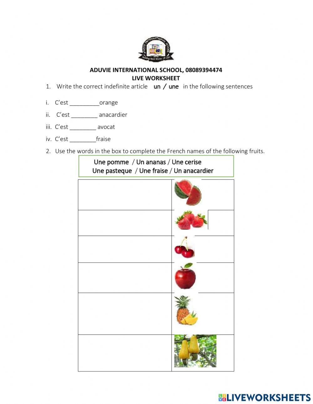 Cat french year 1 revision