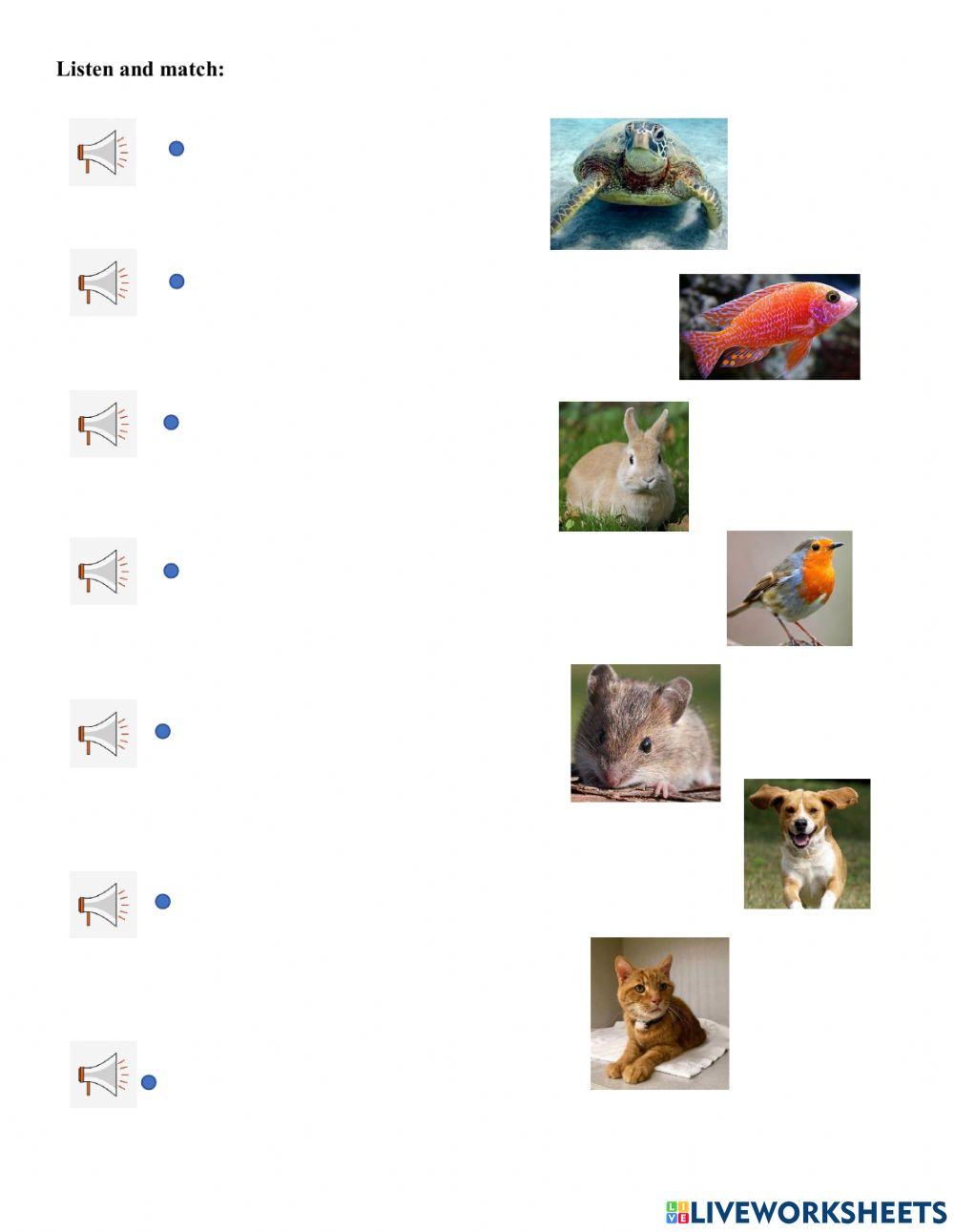 Show and tell 1 – Unit 7: What pets do you like?