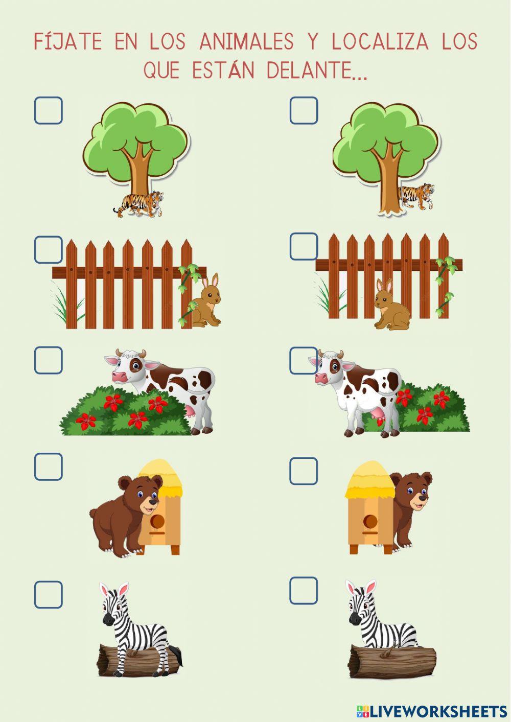 Orientación espacial