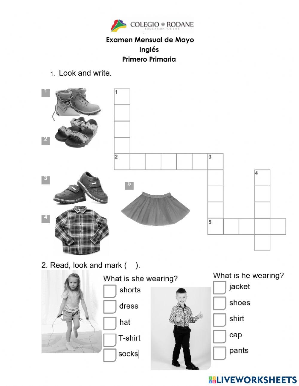 English exam clothes and animals
