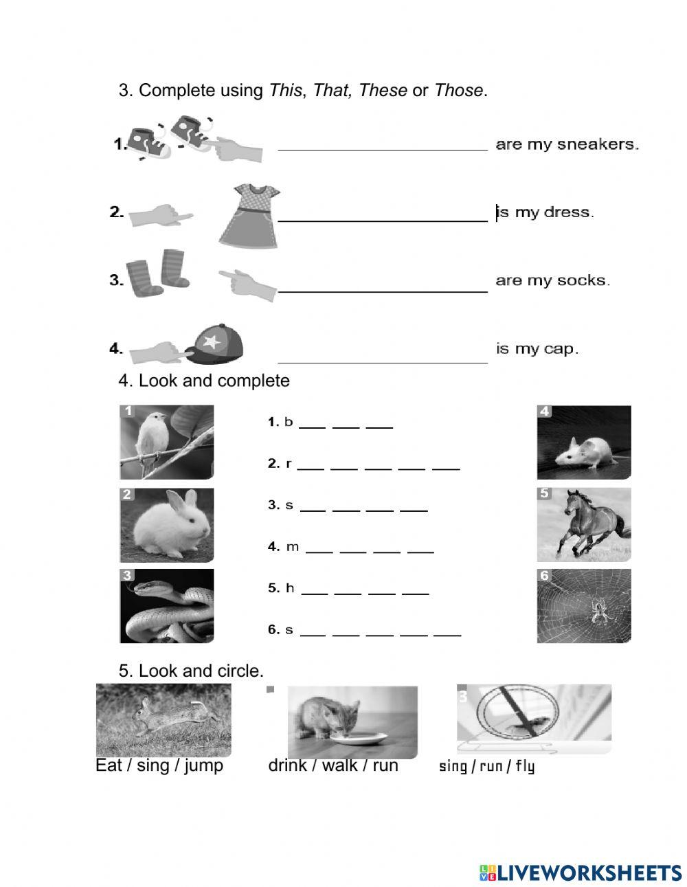 English exam clothes and animals
