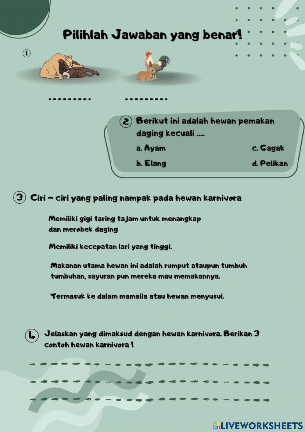 Pengelompokan hewan berdasarkan jenis makanan