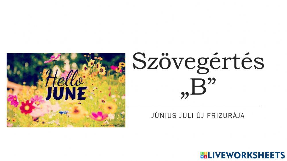 Június-Juli-fodrásznál-Szövegértés-B