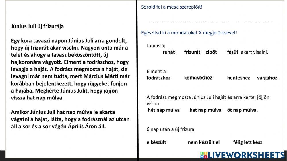 Június-Juli-fodrásznál-Szövegértés-B