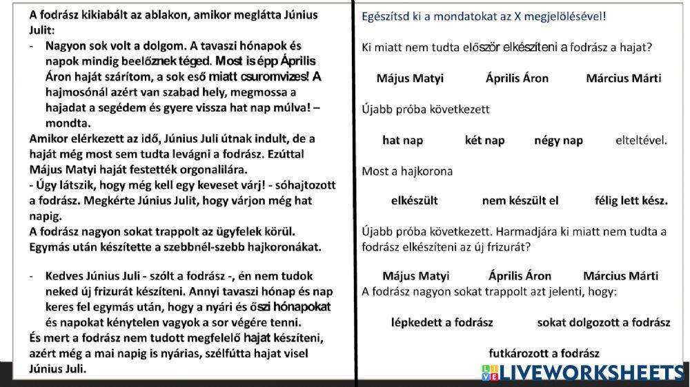 Június-Juli-fodrásznál-Szövegértés-B